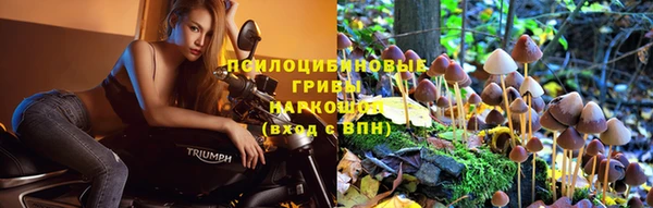 ешки Зеленодольск