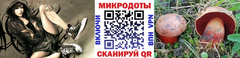 Купить закладки  Мглин  Галлюциногенные грибы Psilocybe 
